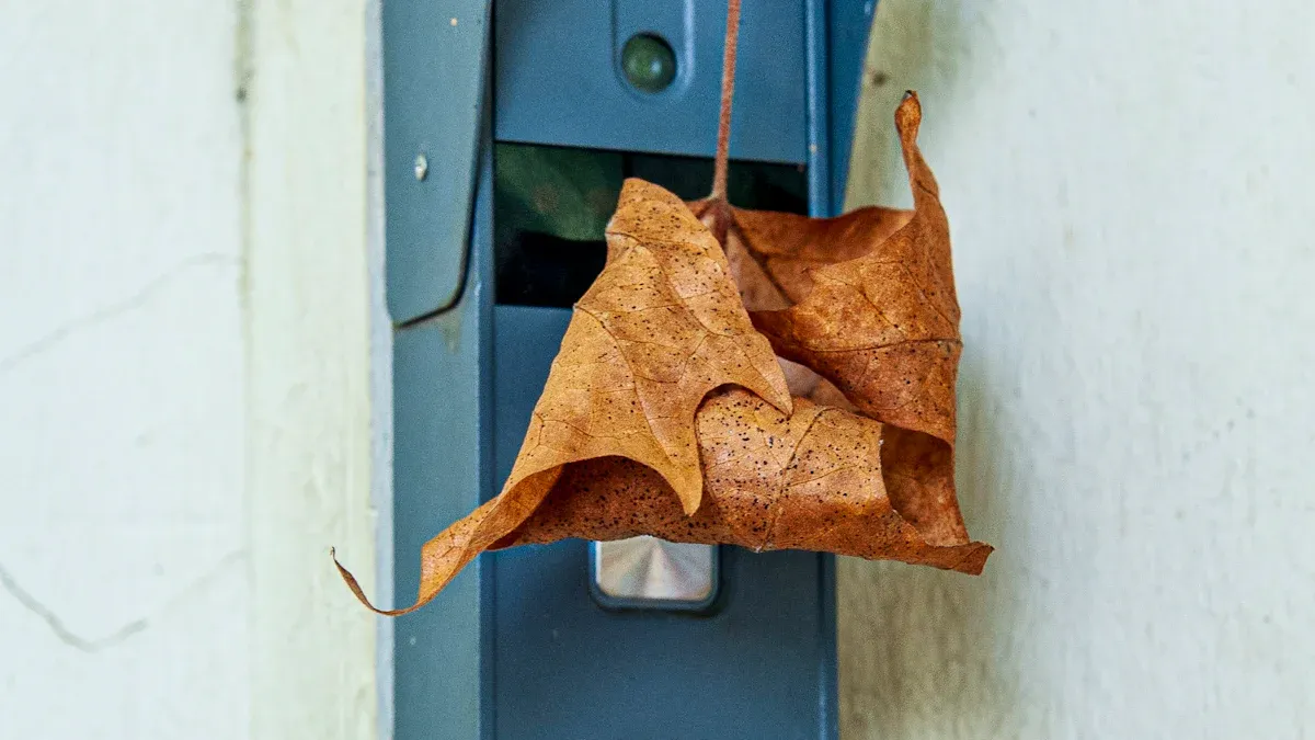 3. Risk of Discoloration and Fading