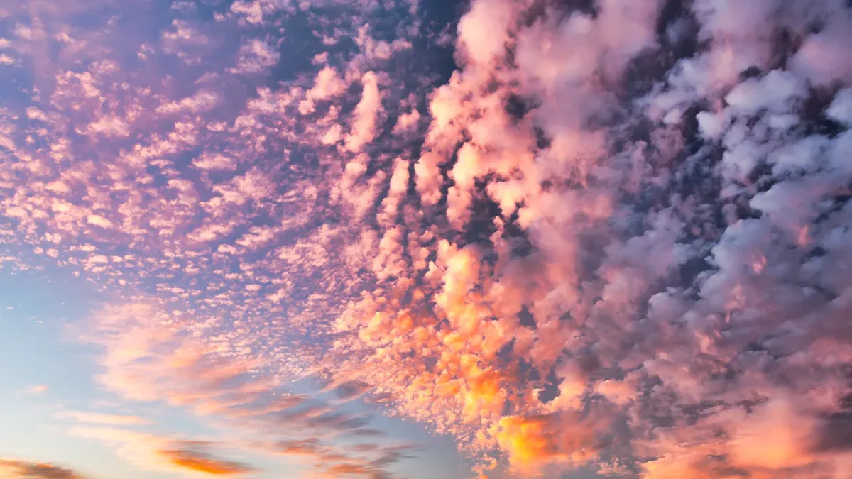 Unrivaled Visual Quality and Clarity