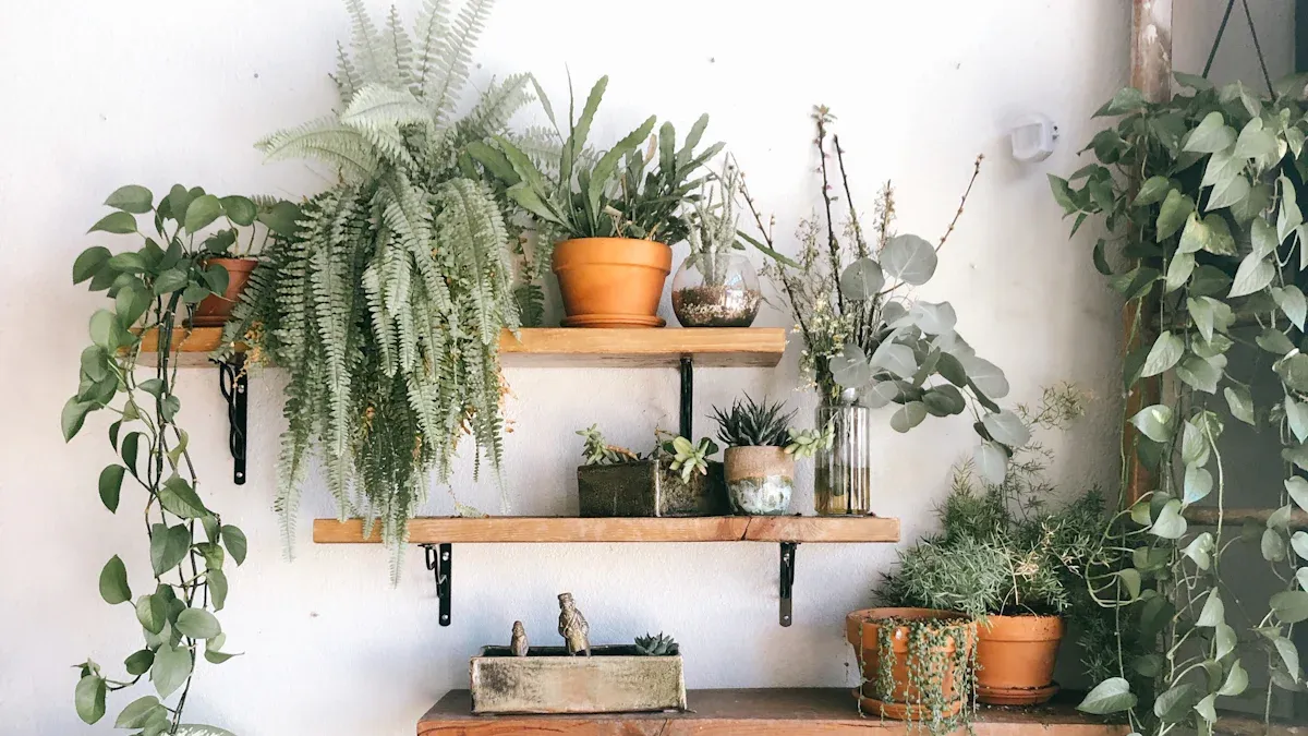 Picture ledges and shelves