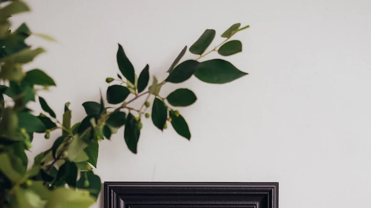 Why Choose Acrylic Magnetic Photo Frames?